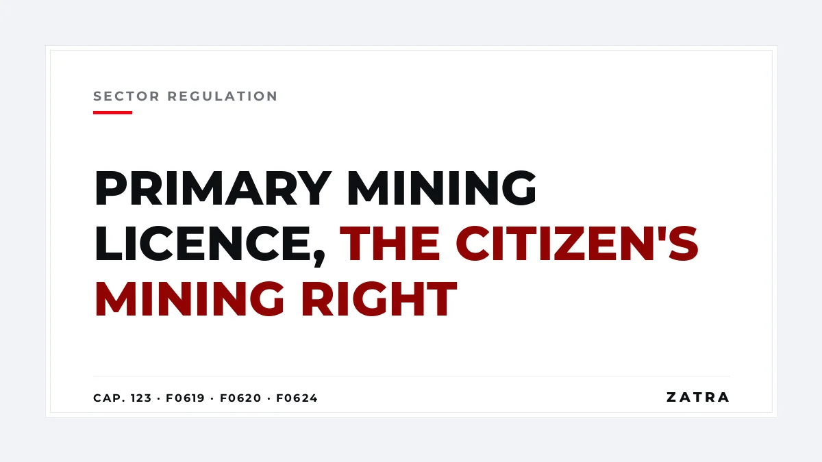 Cover: primary mining licence Tanzania for citizens, fees F0619 and F0620, royalty F0624 and the 2025 technical support rules