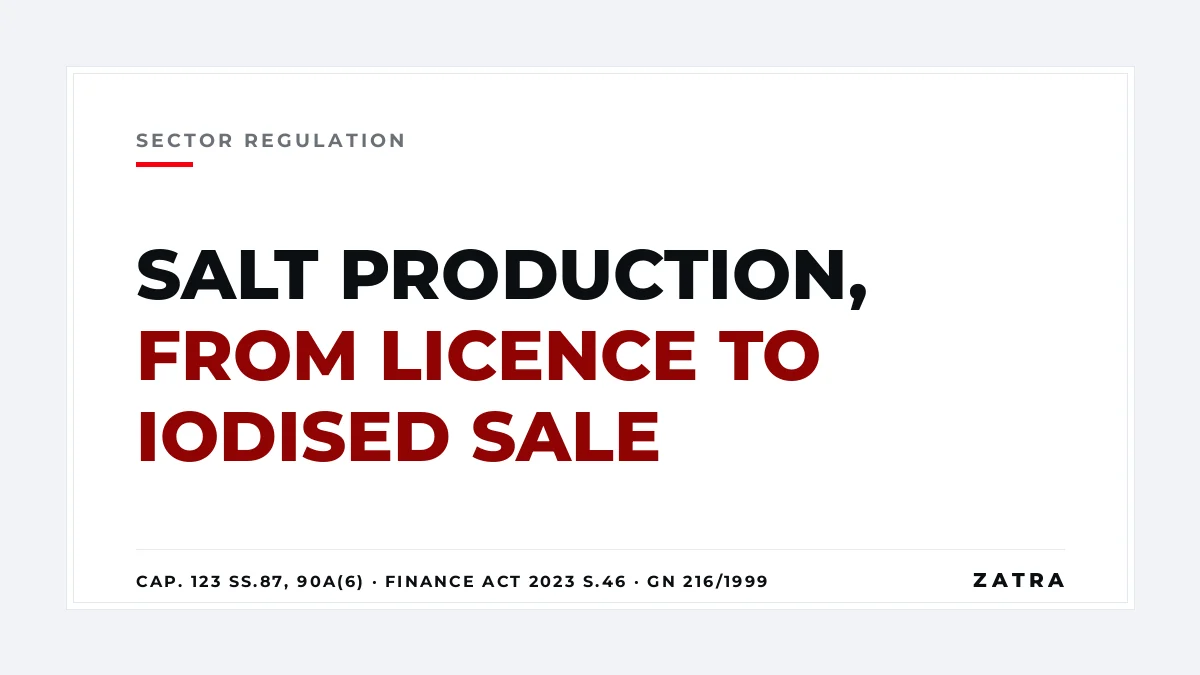 Cover: salt production licence in Mainland Tanzania, from the mining licence and 1% salt royalty to iodation, TBS standards and coastal approvals