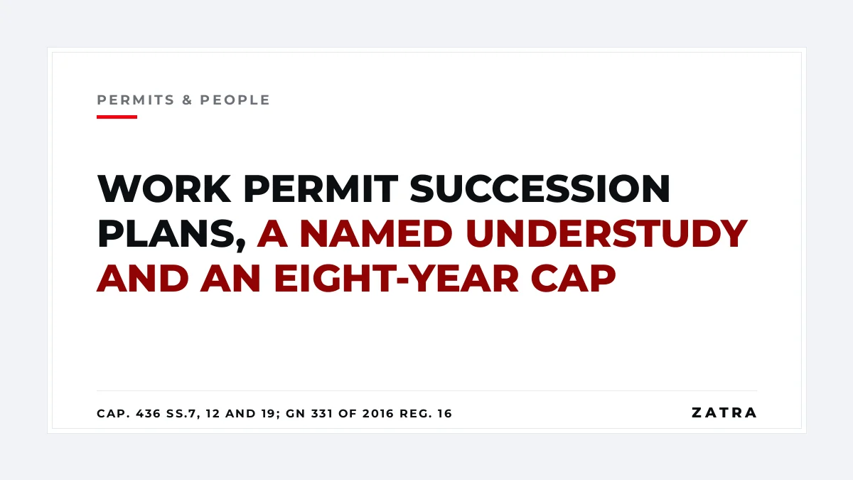 Cover: work permit succession plan in Tanzania under section 7 of the Non-Citizens (Employment Regulation) Act Cap. 436 and regulation 16 of GN 331 of 2016