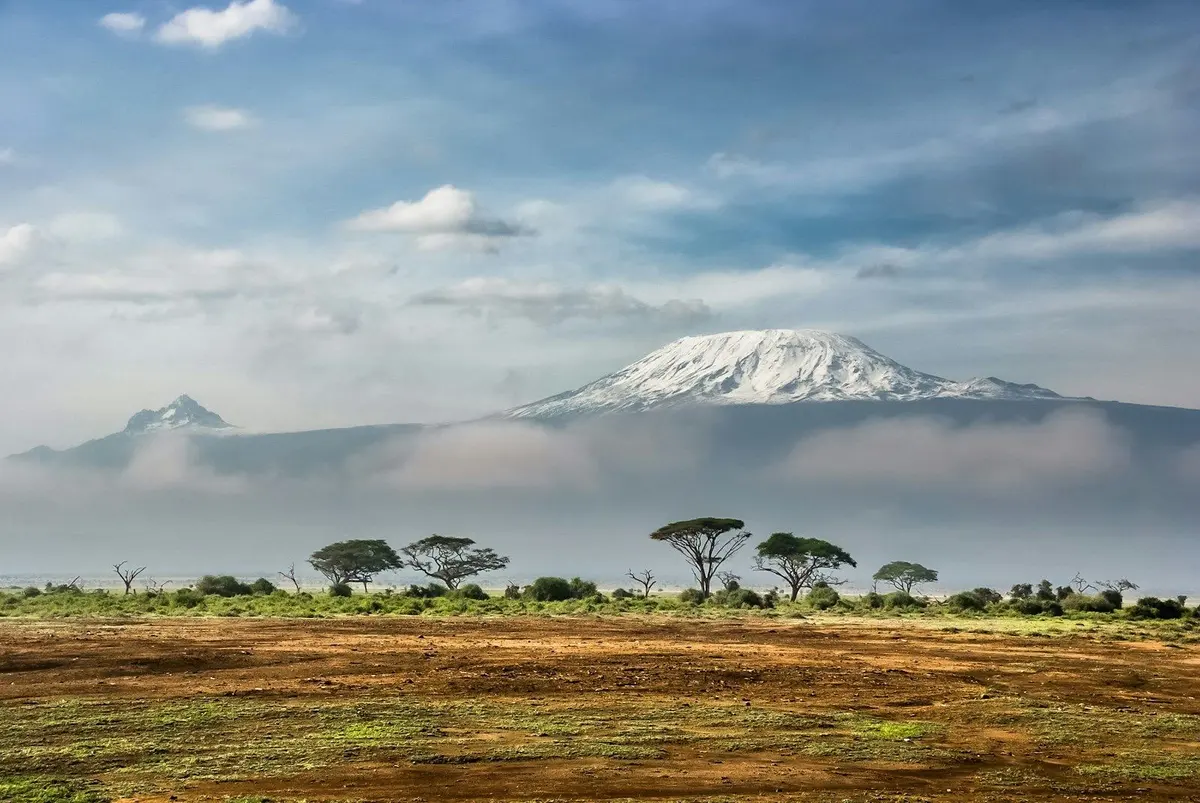 Open East African rangeland in daylight — livestock investment is a herd, water and processing file