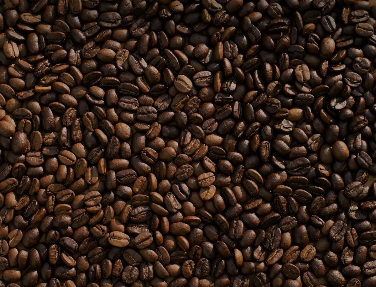 Coffee beans and export licence file
