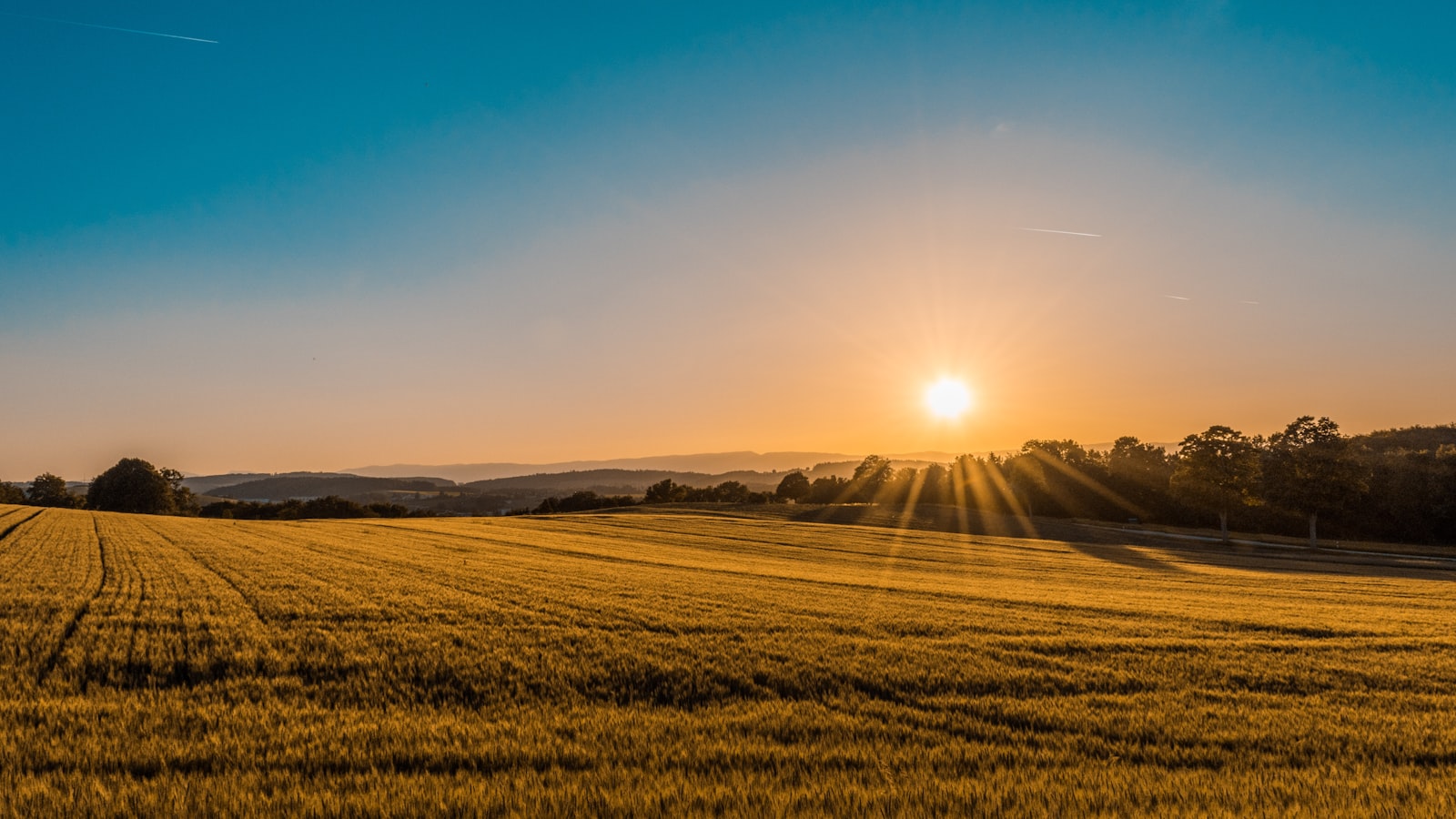 How to Get Investment Land in Tanzania
