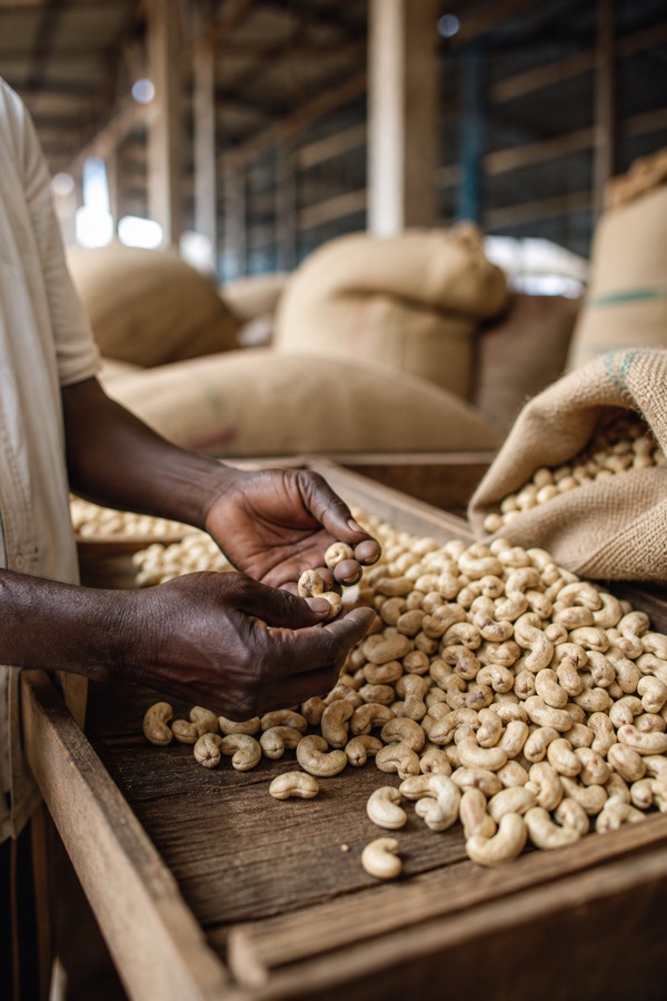 Supplier and export-document screening for Tanzania agriculture trade